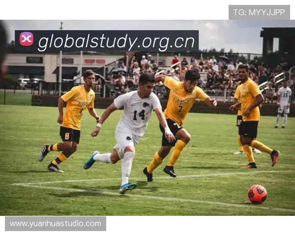 ✅体育直播🏆世界杯直播🏀NBA直播⚽- “要求迅速逮捕总统尹锡悦” 过去这一天韩国政坛动荡发展到哪步了？- sports